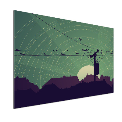 Glasrückwand für die küche Vogelstadt