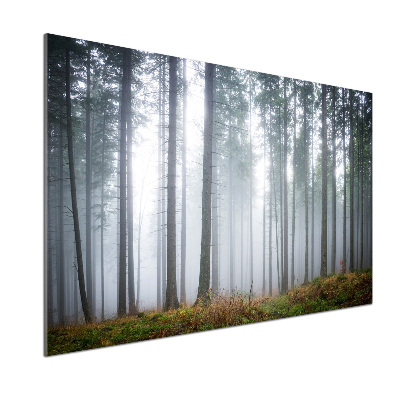 Platte für Küchenrückwand Nebel im Wald
