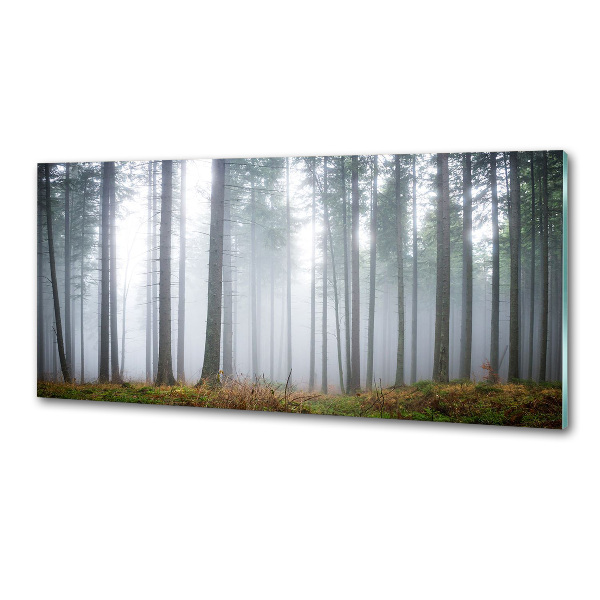 Platte für Küchenrückwand Nebel im Wald