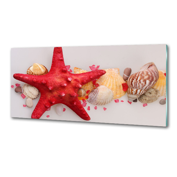 Küchen wandpaneel Seesterne und Muscheln