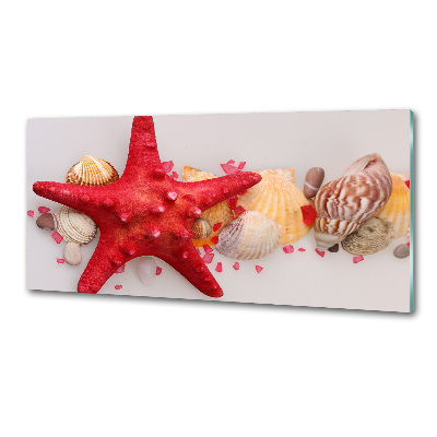 Küchen wandpaneel Seesterne und Muscheln