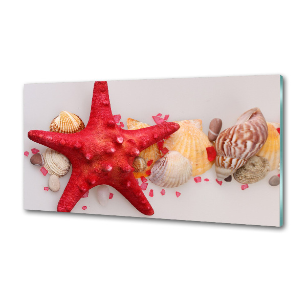 Küchen wandpaneel Seesterne und Muscheln