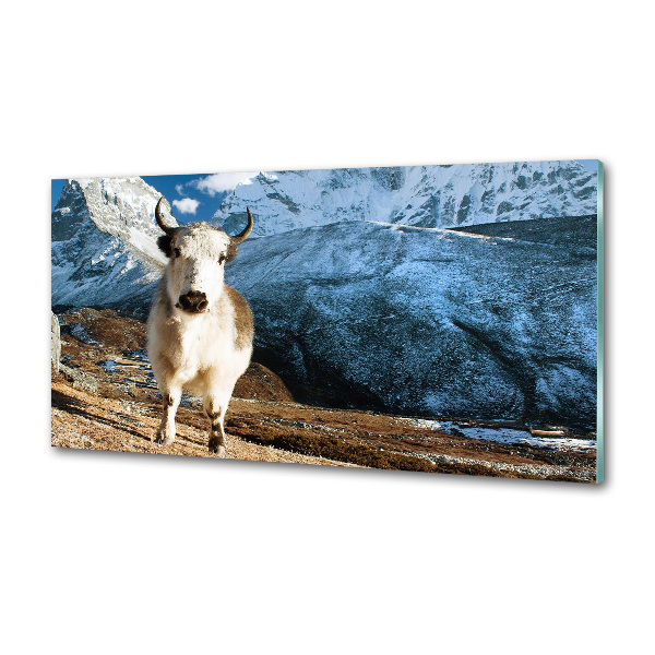 Platte für Küchenrückwand Wie Berge