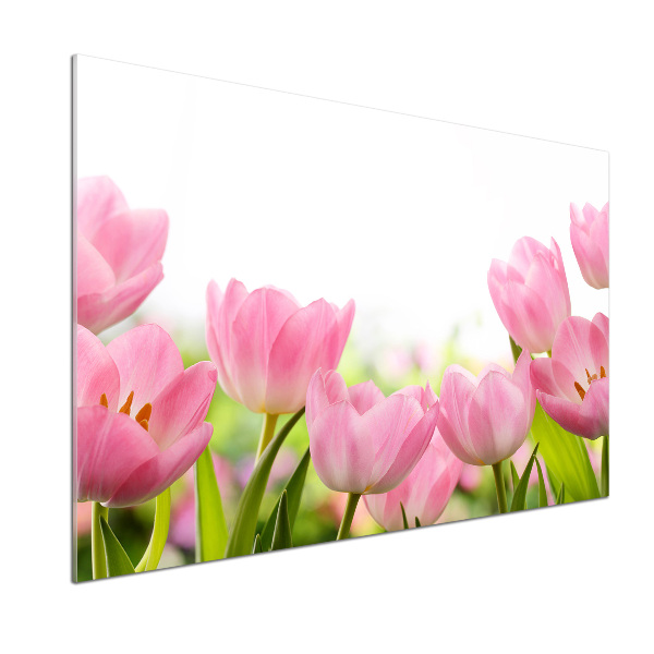 Glasrückwand für die küche Rosa Tulpen