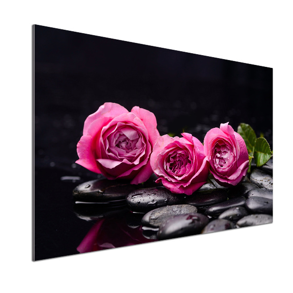 Glasrückwand für die küche Rosa Rosen