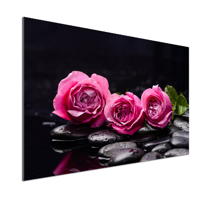 Glasrückwand für die küche Rosa Rosen