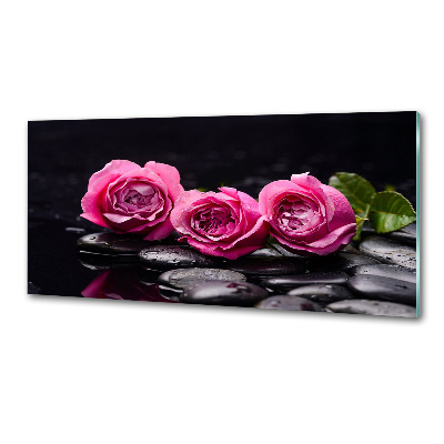 Glasrückwand für die küche Rosa Rosen