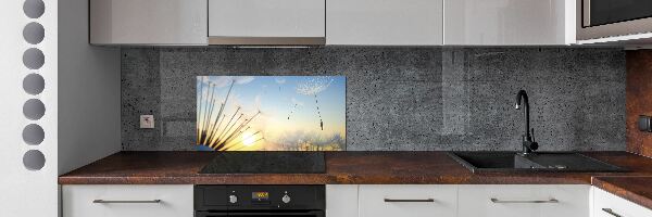 Glasrückwand für die küche Löwenzahnsamen