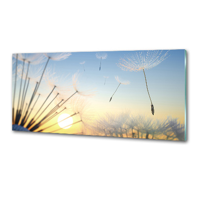 Glasrückwand für die küche Löwenzahnsamen