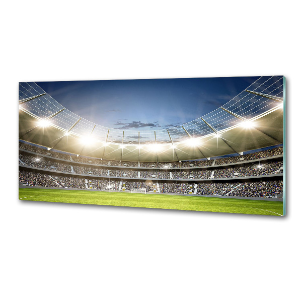 Glasrückwand für die küche Stadion