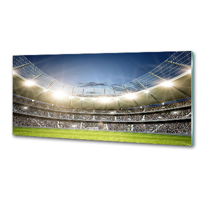 Glasrückwand für die küche Stadion