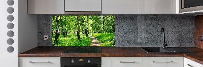 Glasrückwand für die küche Birkenwald
