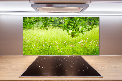 Platte für Küchenrückwand Grüne Wiese