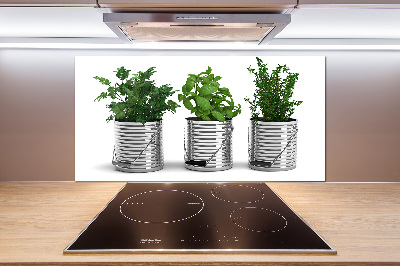 Glasrückwand für die küche Aromatische Pflanzen