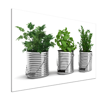 Glasrückwand für die küche Aromatische Pflanzen