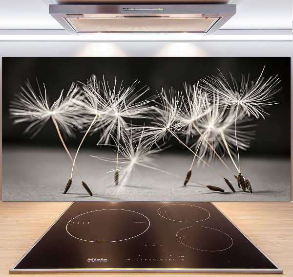 Glasrückwand für die küche Löwenzahnsamen