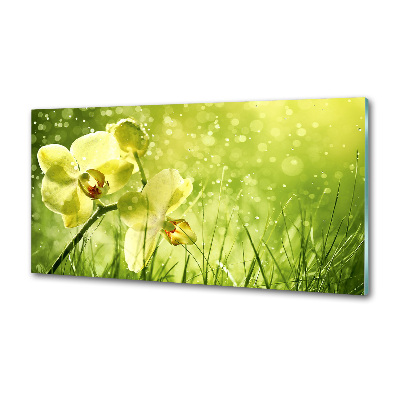 Platte für Küchenrückwand Orchidee