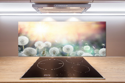 Glasrückwand für die küche Löwenzahnfeld