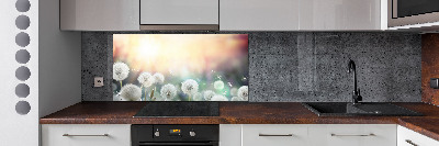 Glasrückwand für die küche Löwenzahnfeld