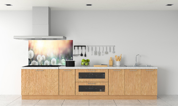 Glasrückwand für die küche Löwenzahnfeld