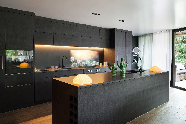 Glasrückwand für die küche Löwenzahnfeld