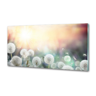 Glasrückwand für die küche Löwenzahnfeld