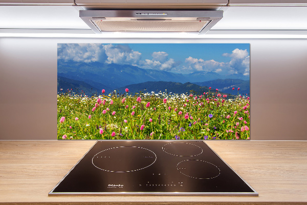 Platte für Küchenrückwand Wiese in den Bergen