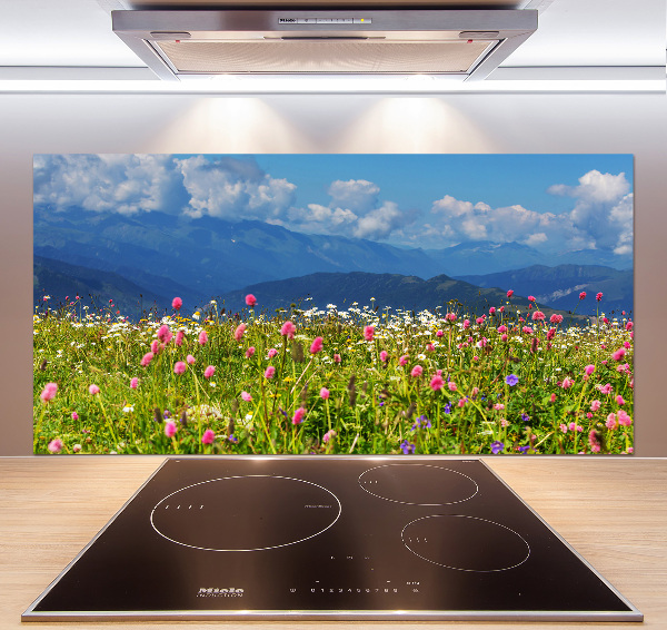 Platte für Küchenrückwand Wiese in den Bergen