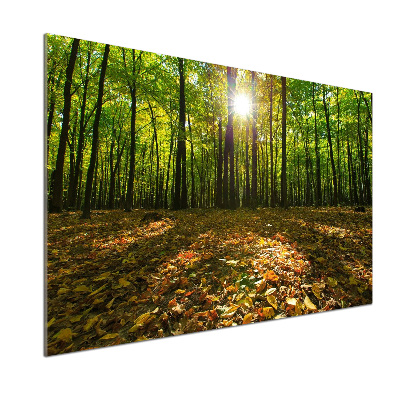 Küchen wandpaneel Wald