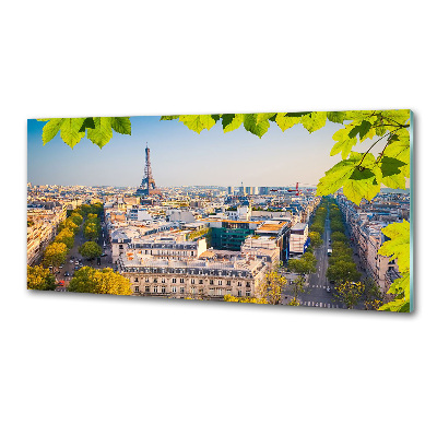 Glasrückwand für die küche Paris