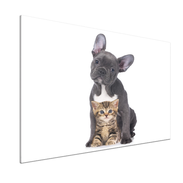 Glasrückwand für die küche Hund und Katze