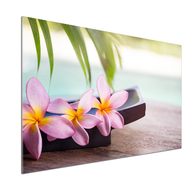 Platte für Küchenrückwand Plumeria