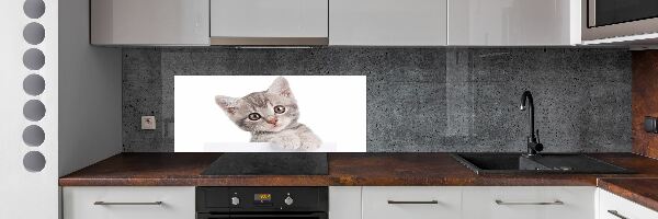Platte für Küchenrückwand Graue Katze