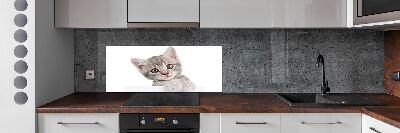 Platte für Küchenrückwand Graue Katze