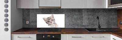 Platte für Küchenrückwand Graue Katze