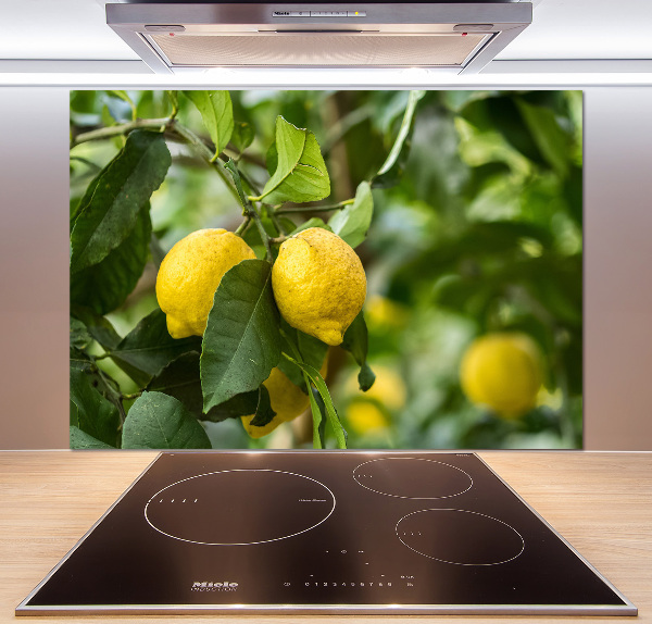 Küchen wandpaneel Zitronen am Baum