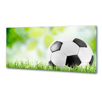 Platte für Küchenrückwand Fußball