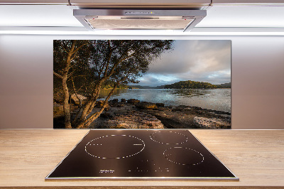 Platte für Küchenrückwand Ein Baum am Fluss