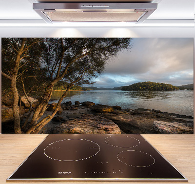 Platte für Küchenrückwand Ein Baum am Fluss