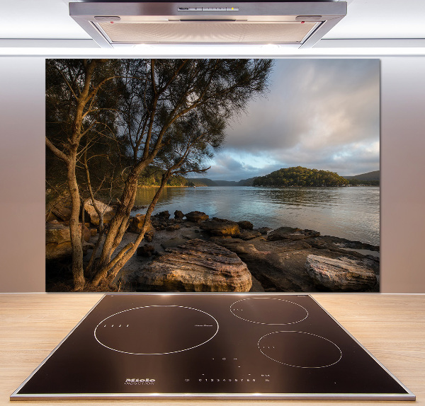 Platte für Küchenrückwand Ein Baum am Fluss