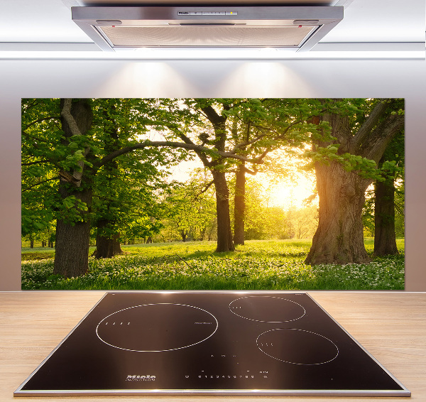 Küchen wandpaneel Bäume im Park