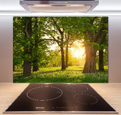 Küchen wandpaneel Bäume im Park