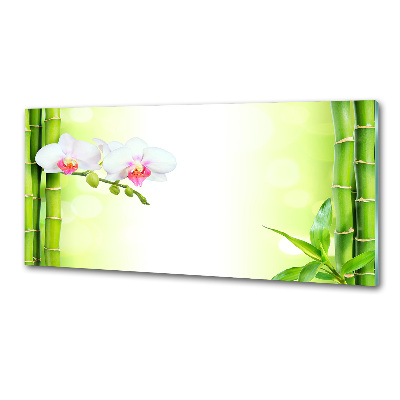 Küchen wandpaneel Orchidee und Bambus