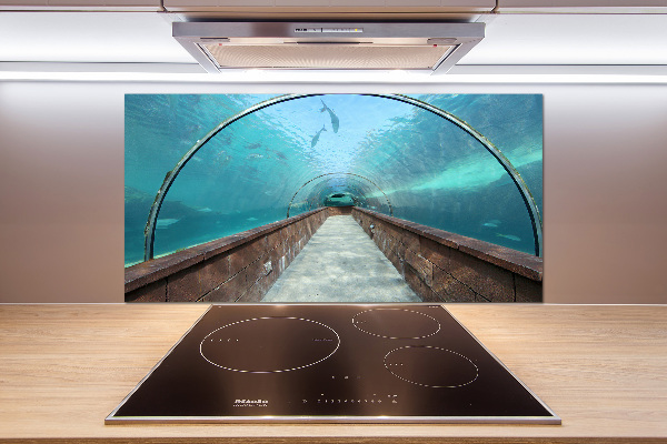 Platte für Küchenrückwand Aquariumtunnel