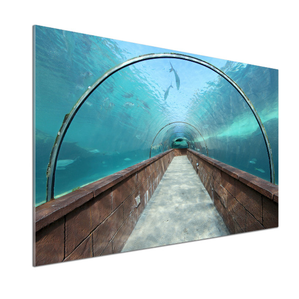 Platte für Küchenrückwand Aquariumtunnel