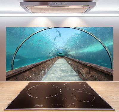 Platte für Küchenrückwand Aquariumtunnel