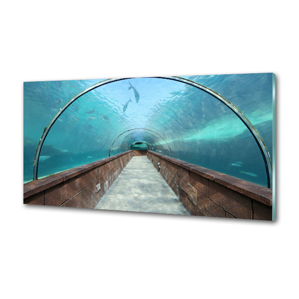 Platte für Küchenrückwand Aquariumtunnel