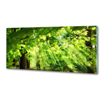 Küchen wandpaneel Buchenblätter