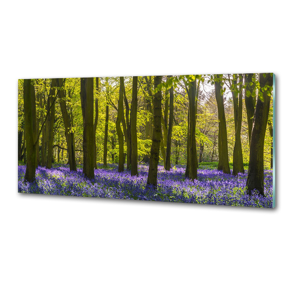 Platte für Küchenrückwand Wald im Frühling