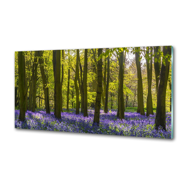 Platte für Küchenrückwand Wald im Frühling